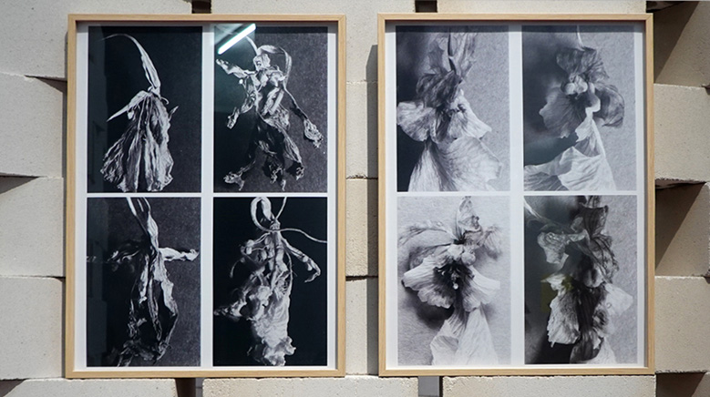 10 Berliner Künstlerinnen des Deutschen Künstlerbundes